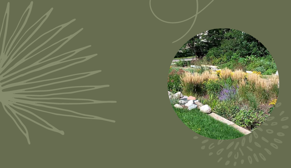 Rain Gardens Web Banners.png